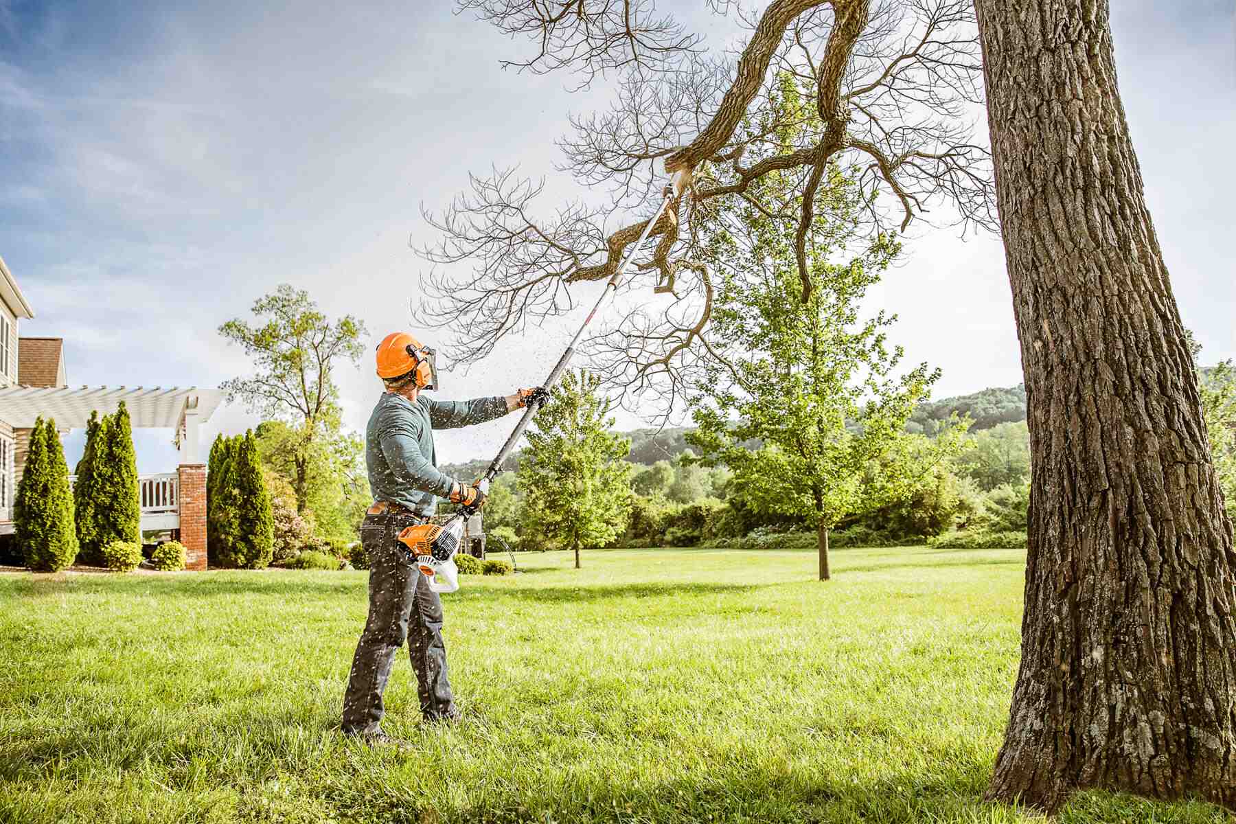 Tree pruning in Ottawa